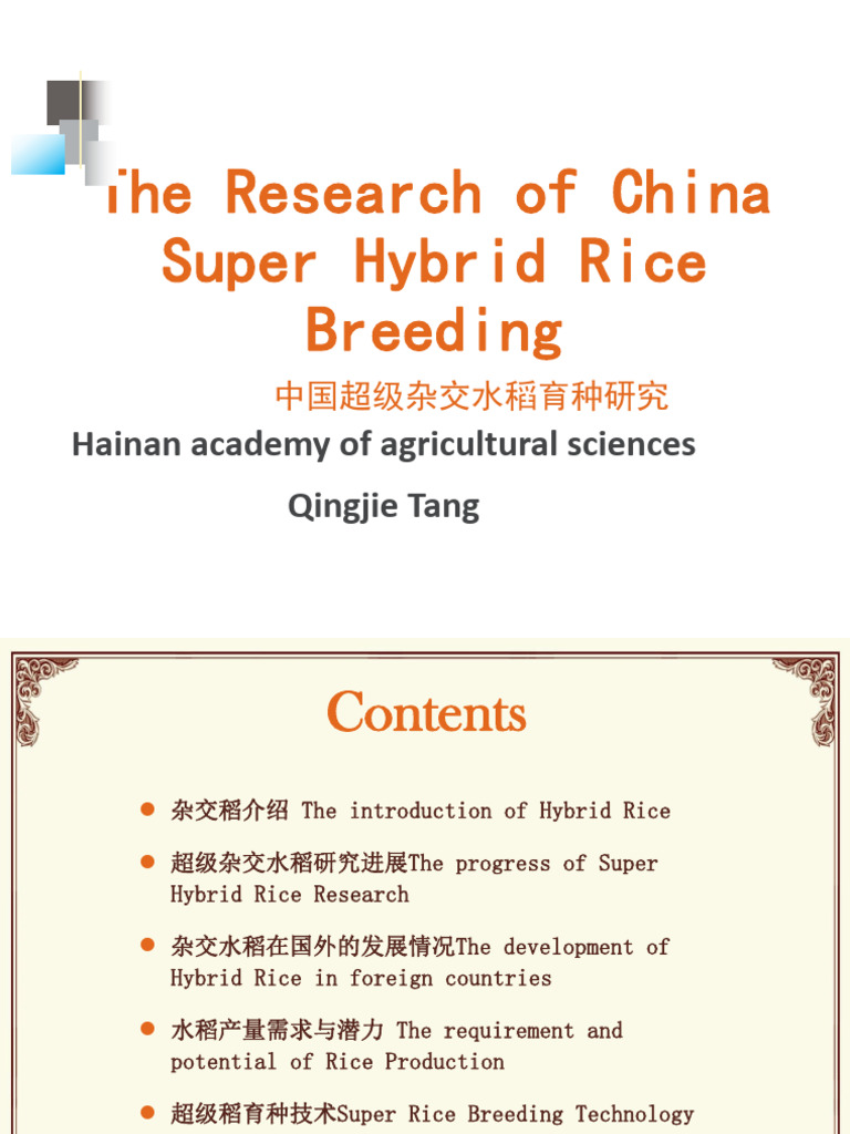 Super Hybrid Rice Research in China | PDF | Rice | Plant Breeding