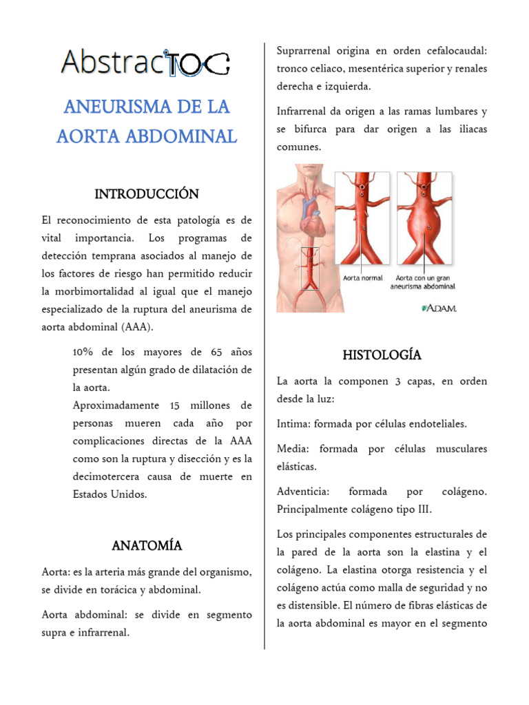Aneurisma de Aorta Abdominal: Guía Completa | PDF | Aorta | Abdomen