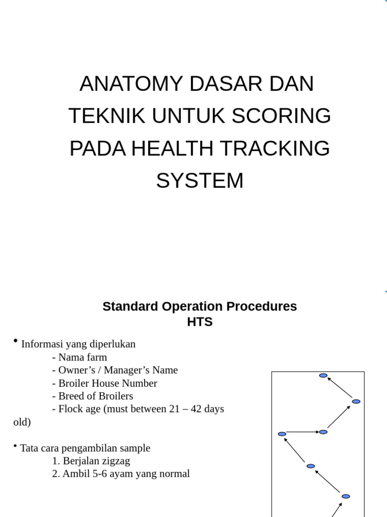Anatomy and Lesion Scoring in HTS | PDF