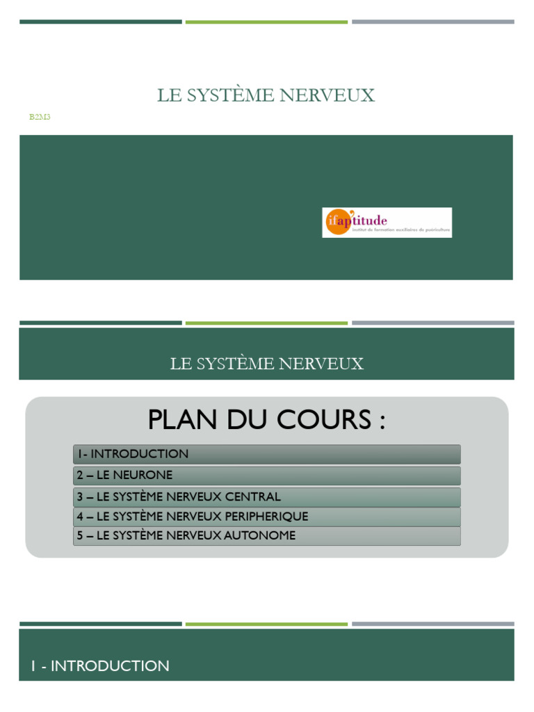 Comprendre le Système Nerveux | PDF | Système nerveux | Neurone