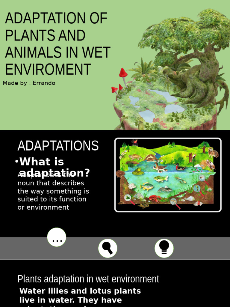 Plant and Animal Adaptations in Wet Environments | PDF