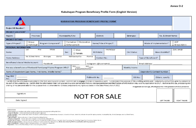 Annex O 2 Beneficiary Profile | PDF