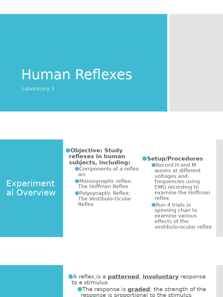 Human Reflexes: H-Reflex & VOR Study | PDF | Inhibitory Postsynaptic ...