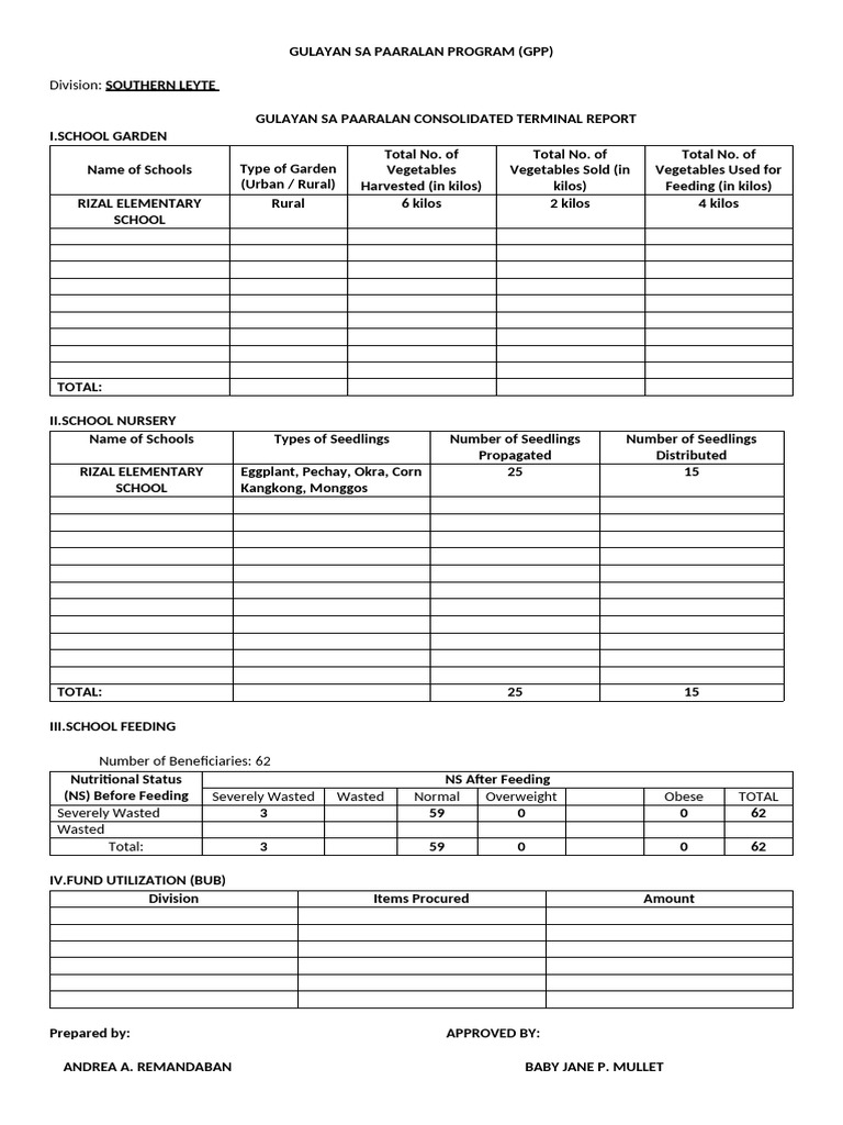 GPP Terminal Report: Southern Leyte Schools | PDF