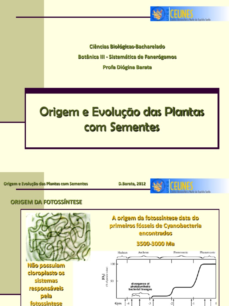 Origem e Evolução das Plantas com Sementes | PDF | Plantas | Flores
