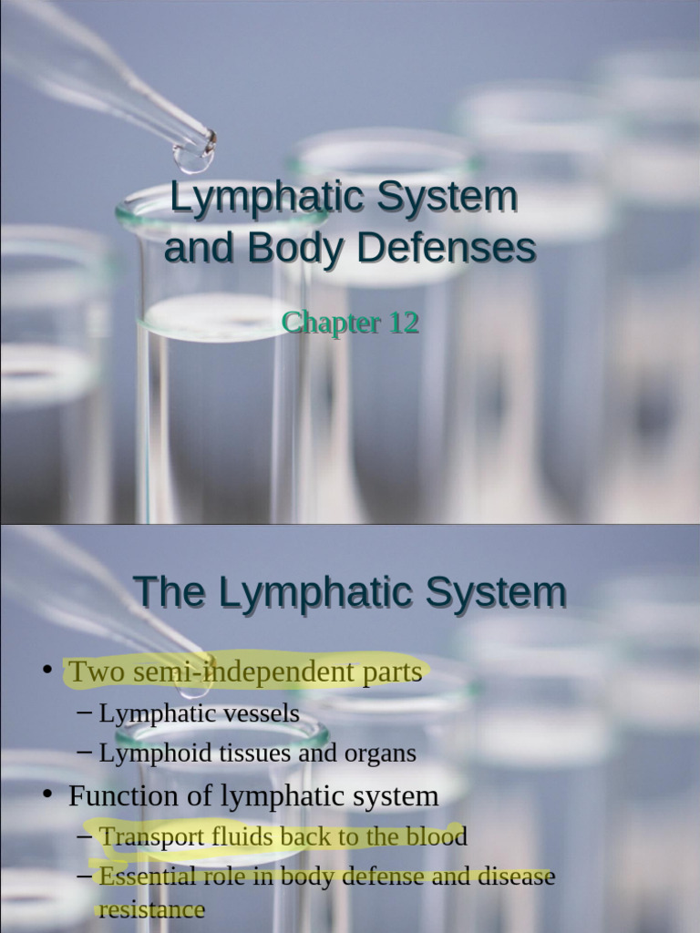 Lymphatic System and Body Defenses Overview | PDF | Lymphatic System ...