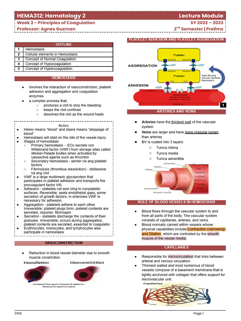 Principles of Coagulation Overview | PDF | Coagulation | Hemostasis