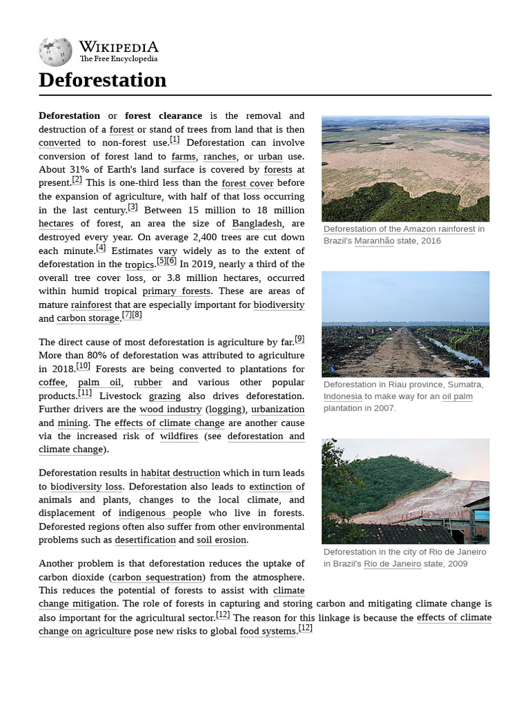 Global Deforestation Overview and Impact | PDF | Deforestation | Carbon ...
