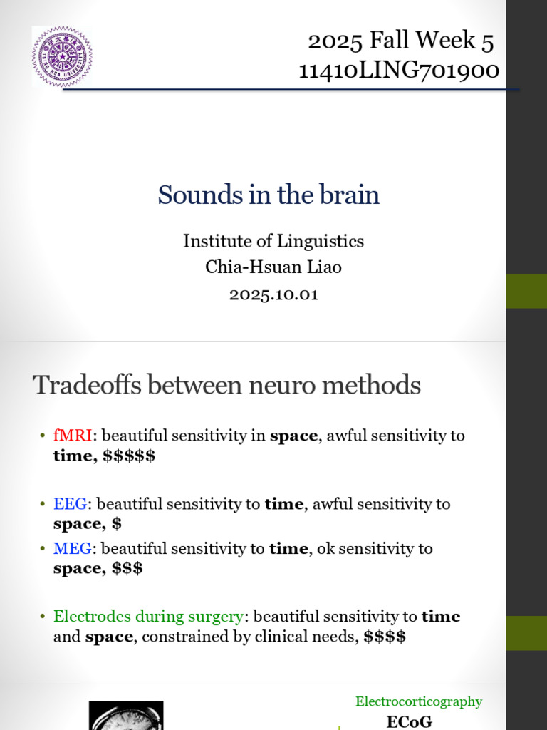 Week 5 Sounds in The Brain | PDF | Speech | Sound