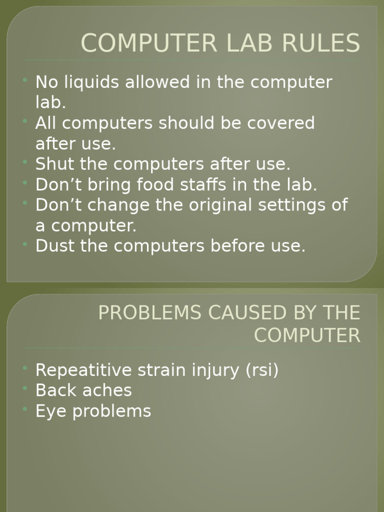 Computer Lab Rules and Guidelines | PDF