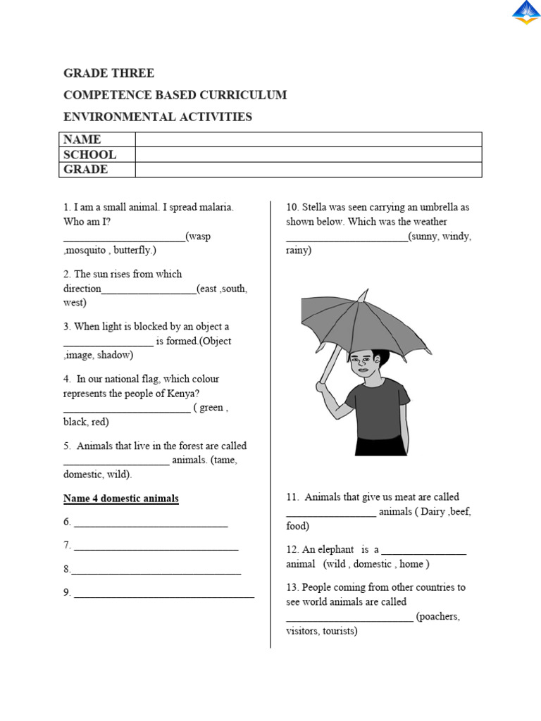 Grade 3 Environmental Activities Quiz | PDF