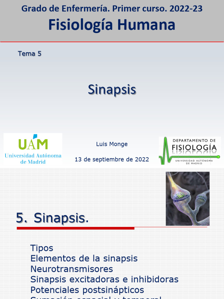 Tipos y Funciones de la Sinapsis | PDF | Sinapsis | Sinapsis química