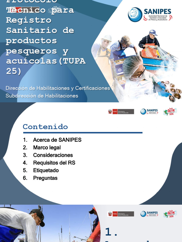 Protocolo TUPA 25 para Registro Sanitario | PDF