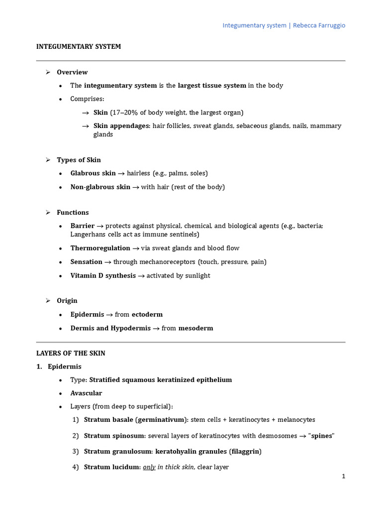 Integumentary System Overview and Functions | PDF | Integumentary ...