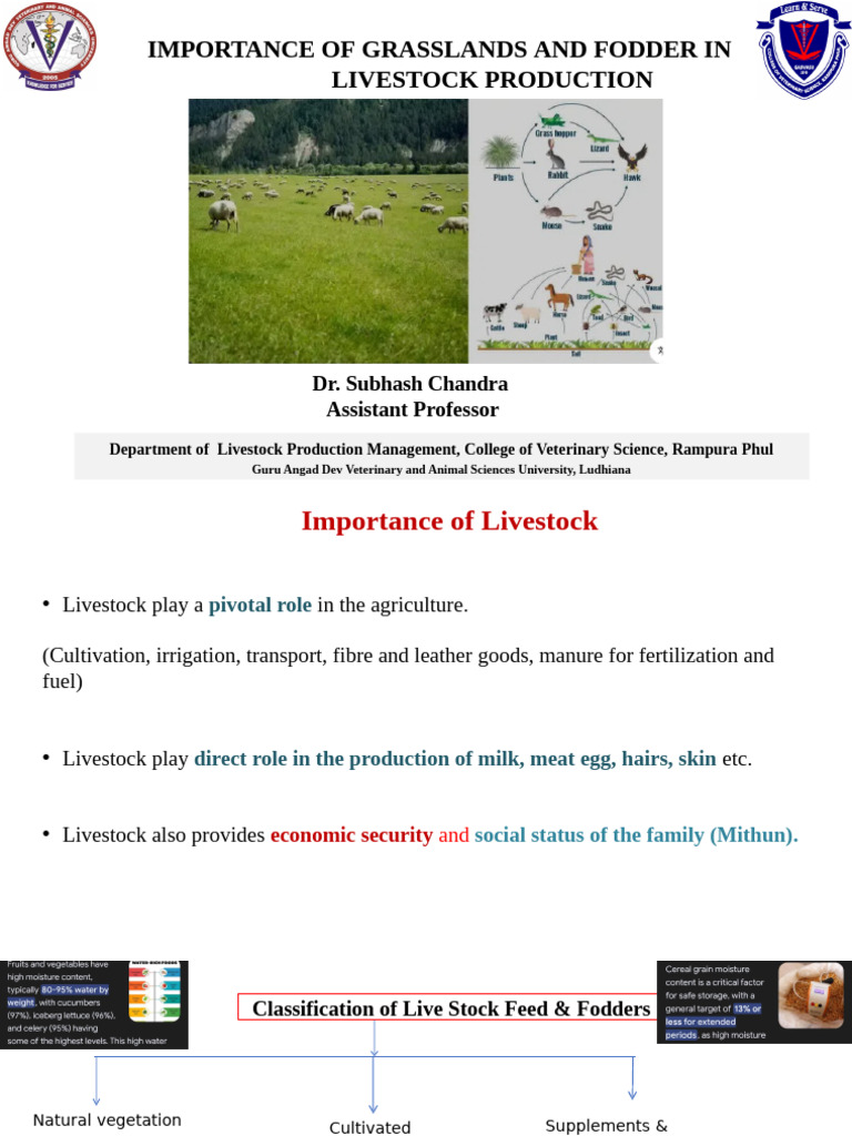 Grasslands and Fodder in Livestock Production | PDF | Fodder | Grazing