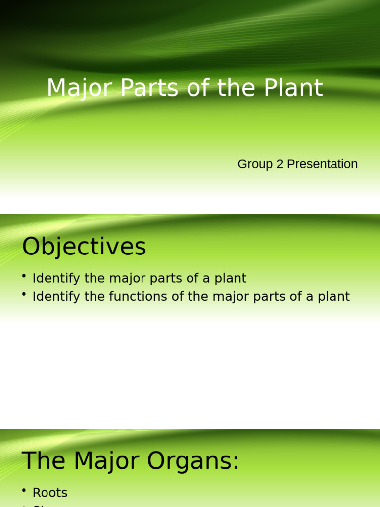 Major Plant Parts and Their Functions | PDF