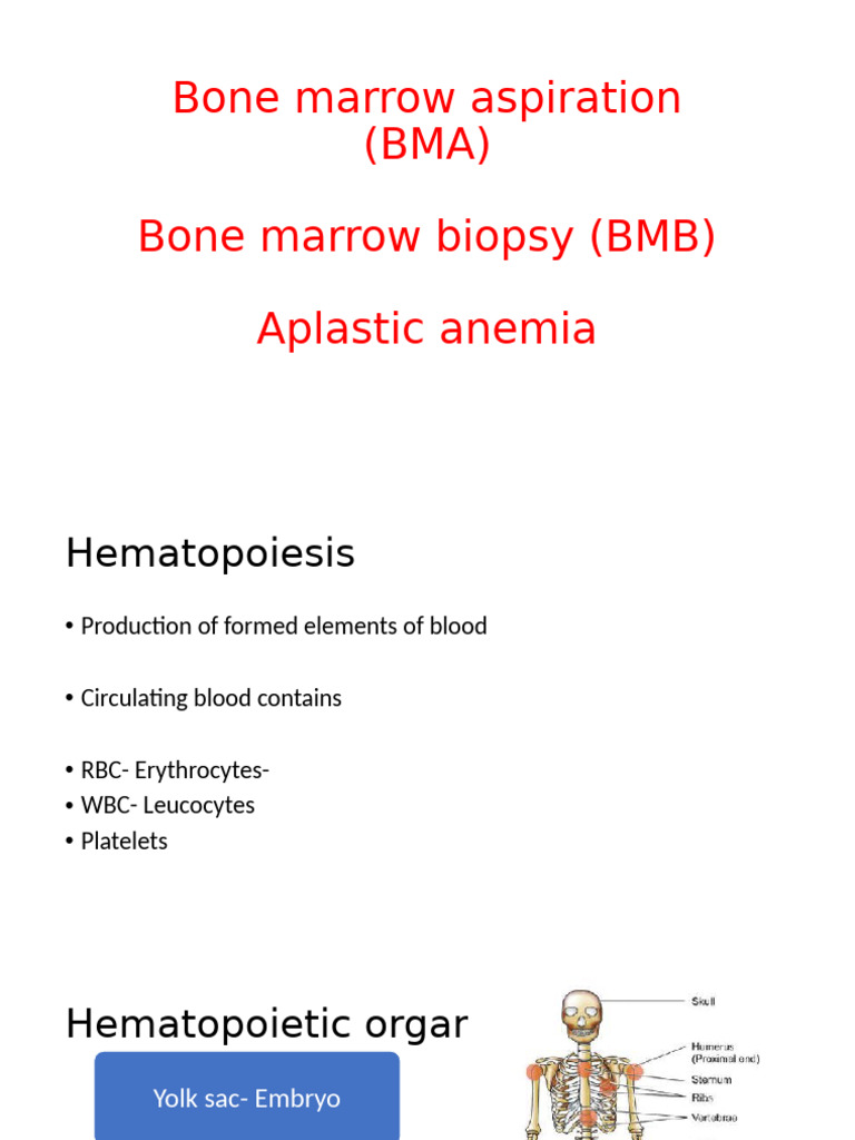 Bone Marrow Aspiration (BMA) | PDF | Bone Marrow | Anemia