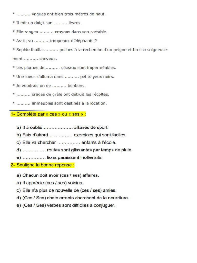 Exercices Ces Ses | PDF