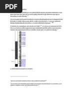 Download Enfermedad de Waardenburg by Fernanda Arredondn SN93055009 doc pdf