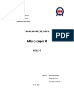 Microscopia II