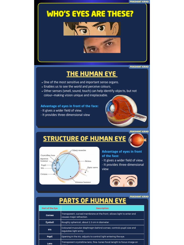 Understanding Human Eye Anatomy and Vision | PDF | Eye | Sunset