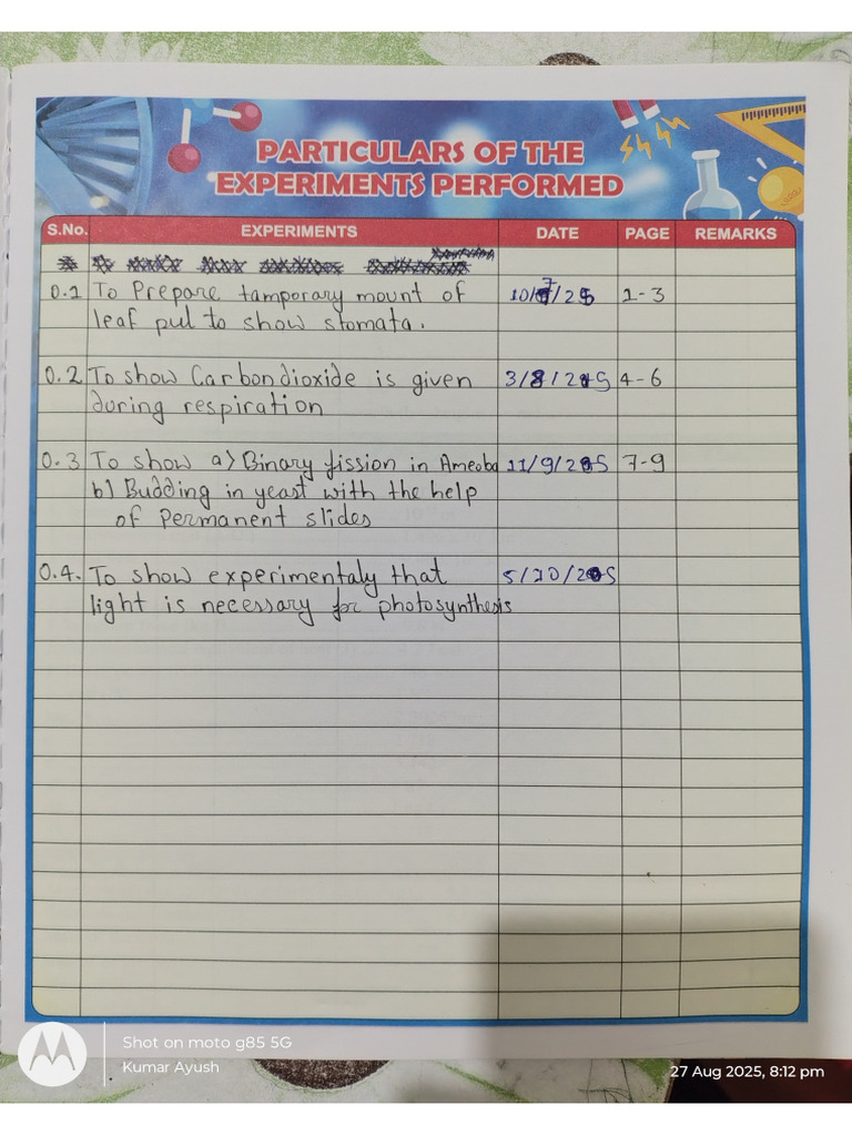 Science Project | PDF