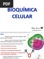 BIOQUÍMICA CELULAR 2012