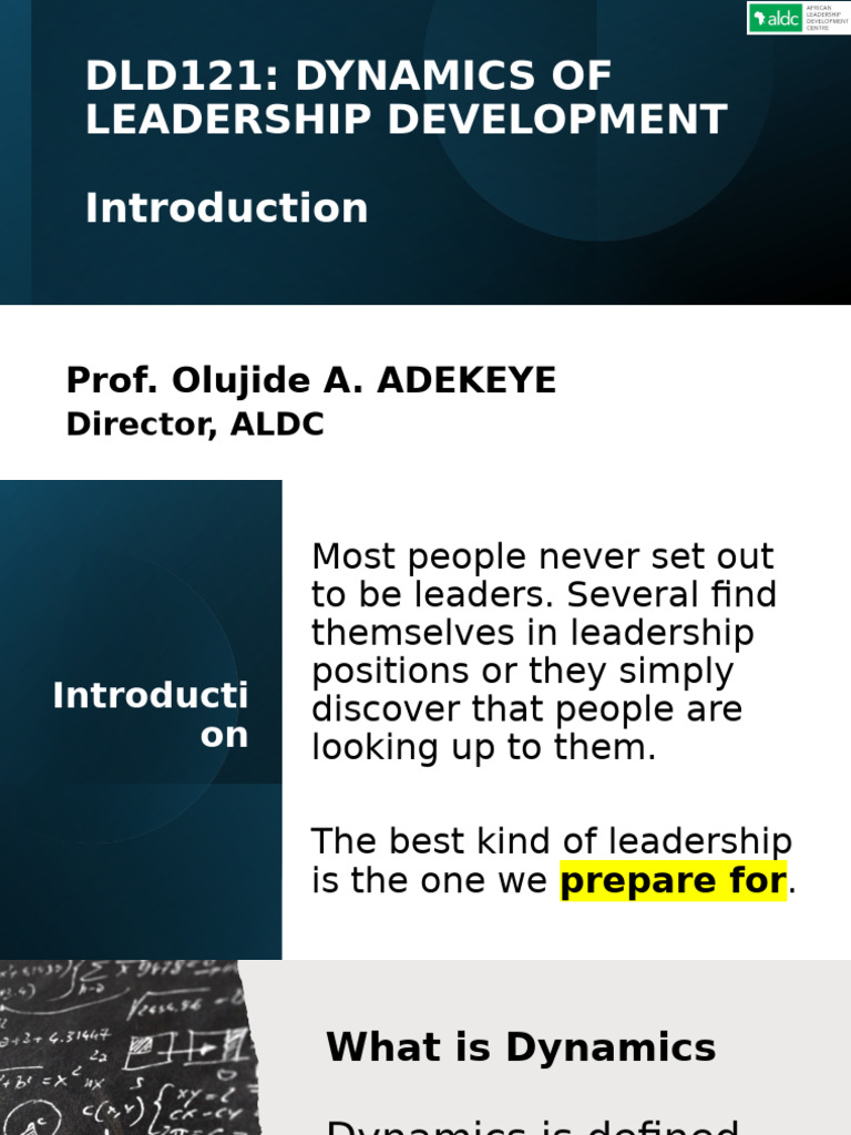 Leadership Development Dynamics | PDF | Leadership | Mentorship