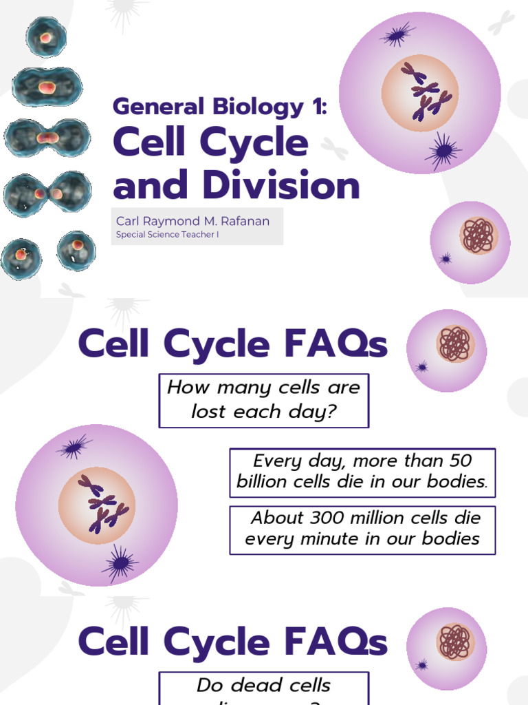 2 General Biology 1 Cell Cycle | PDF | Mitosis | Cell Growth