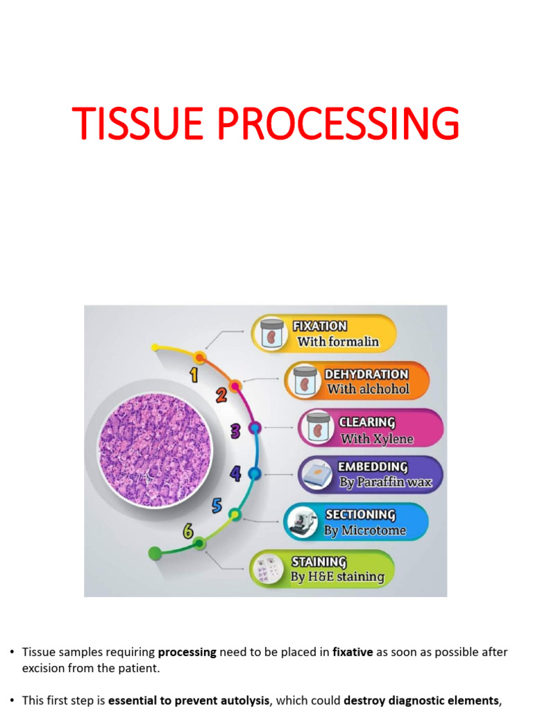 Essential Steps in Tissue Processing | PDF | Wax | Ethanol