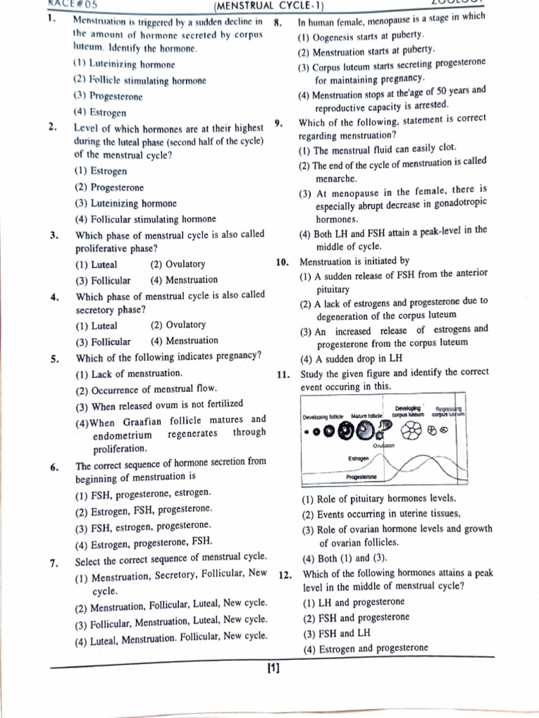 Menstrual Cycle Hormones and Phases Explained | PDF | Menstrual Cycle ...