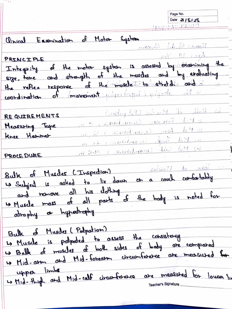 Experiment Documentation Template | PDF