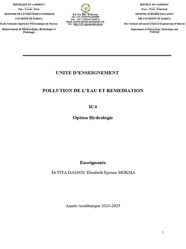 Pollution de l'eau et solutions de remédiation | PDF | Eaux usées | la ...
