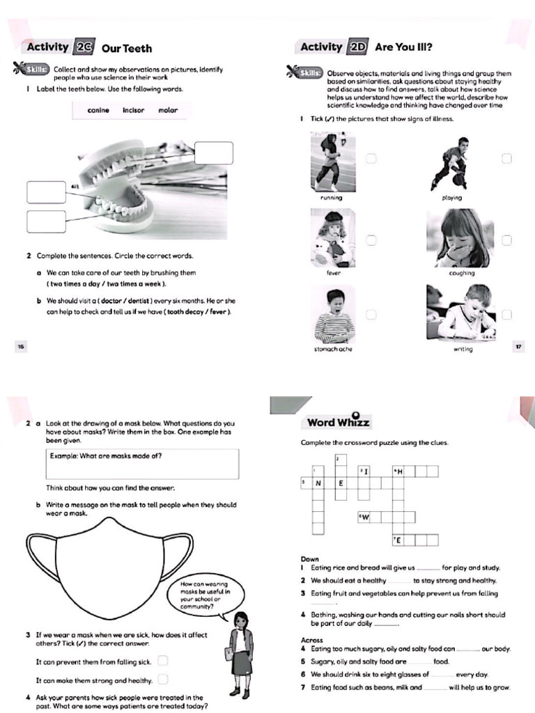 Worksheet Scince Chapter 3 | PDF