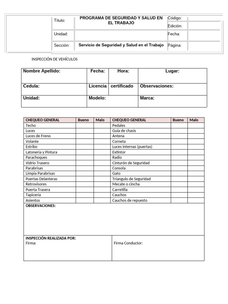 Inspección Vehicular Detallada | PDF