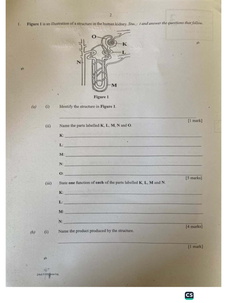 @ Int Science Practicals Questions A | PDF