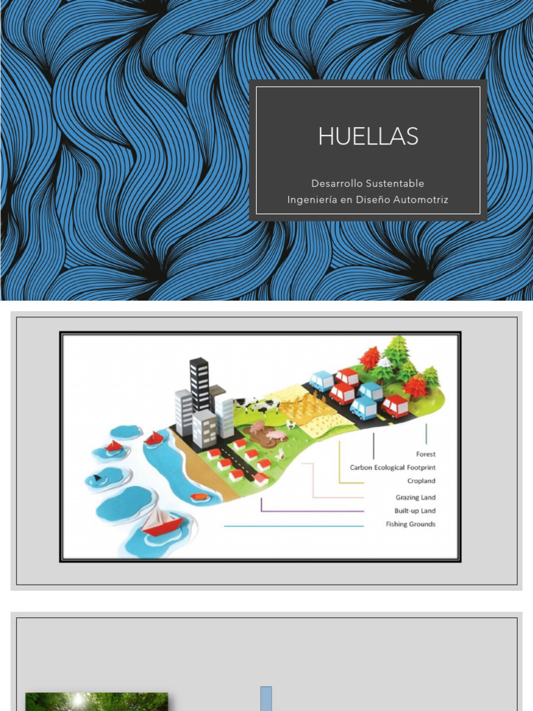 Huella Ecológica y Desarrollo Sustentable | PDF | Evaluación del ciclo ...
