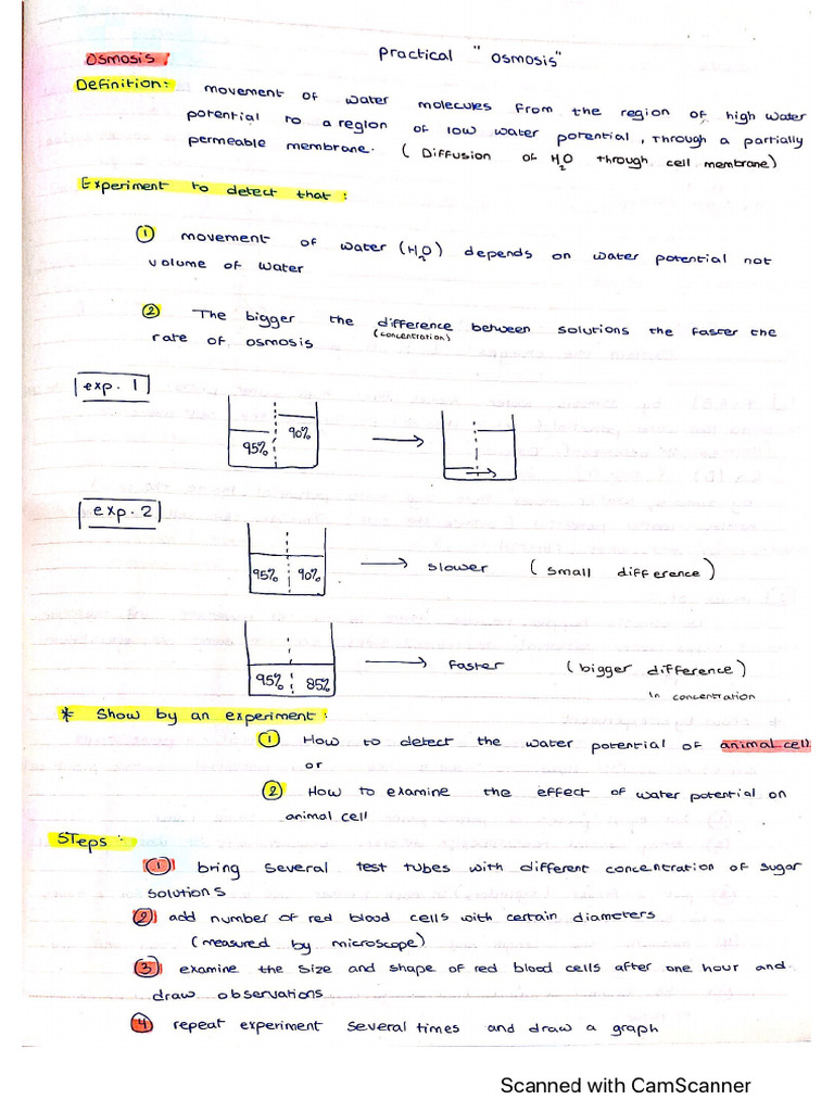 HB Notes 2 | PDF
