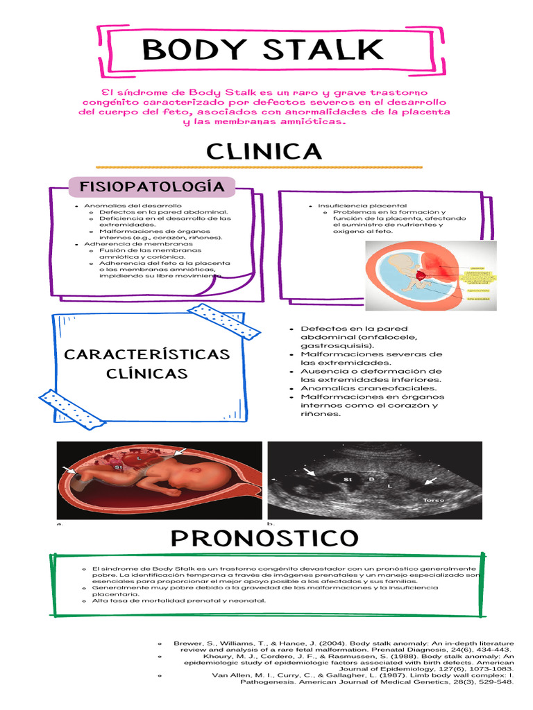 Body Stalk | PDF | Feto | Placenta
