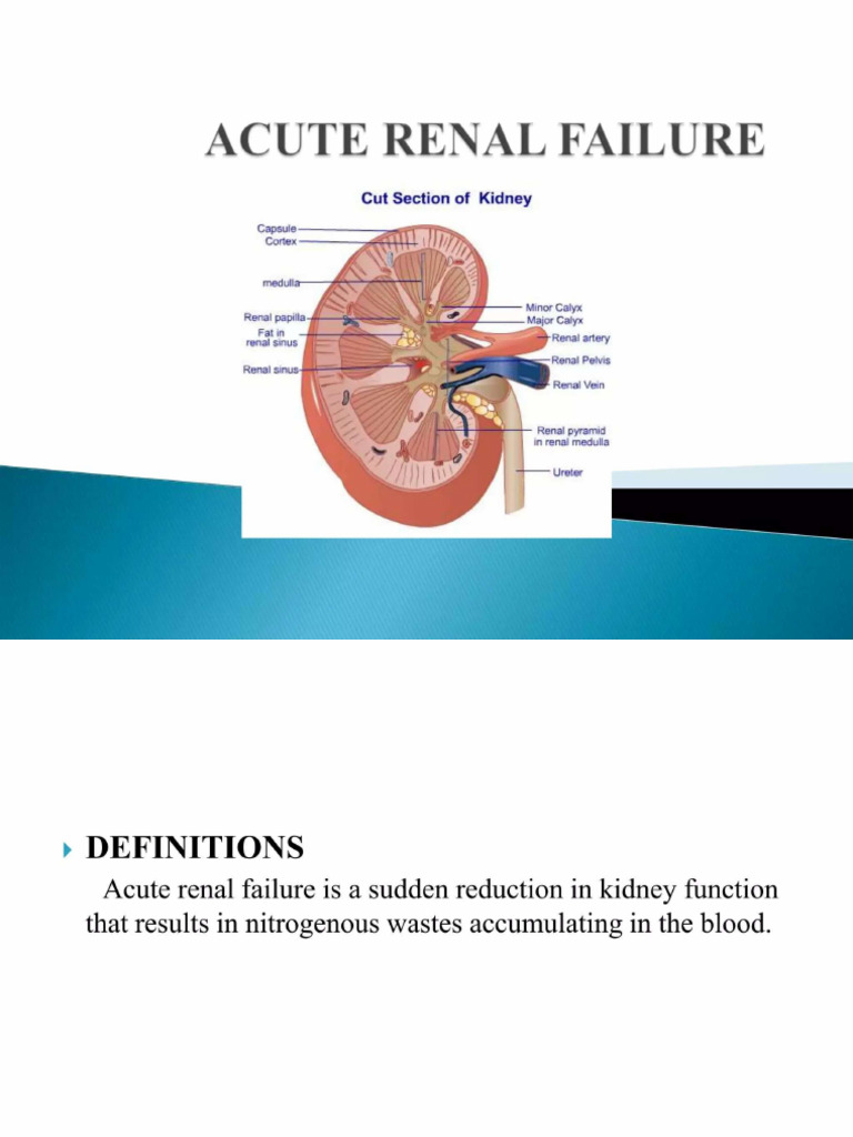 ARF | PDF