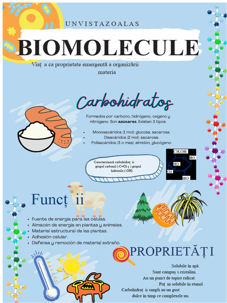 Infografic Molecule Biologice | PDF