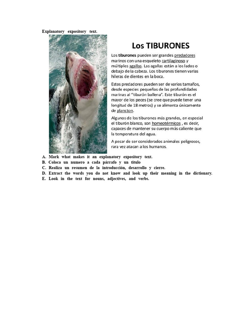 Explanatory Expository Text | PDF