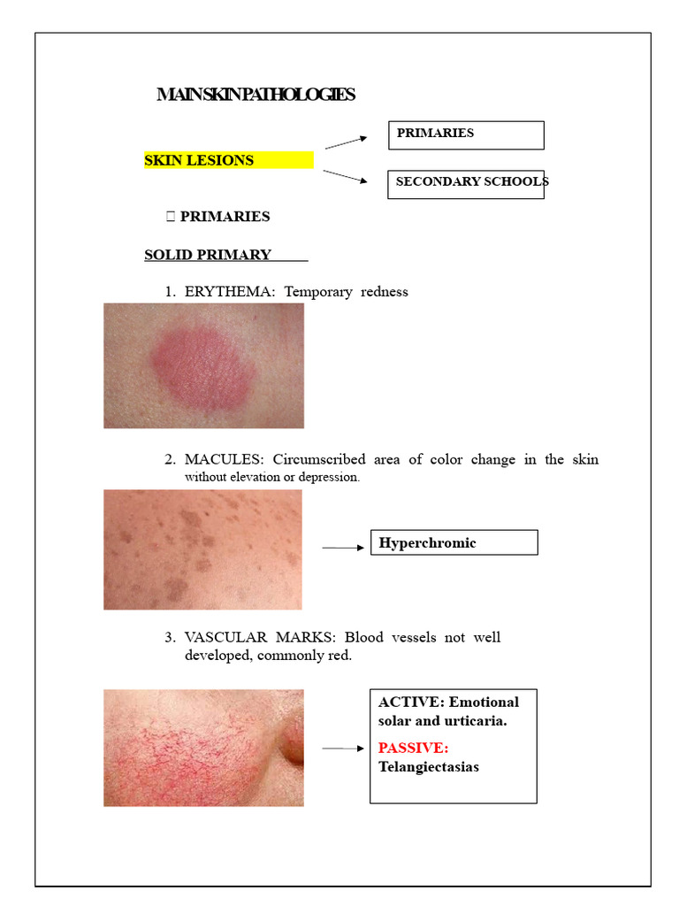 Overview of Main Skin Pathologies | PDF