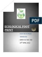 Ecological Foot Print: Deepak Kumar 300683281
