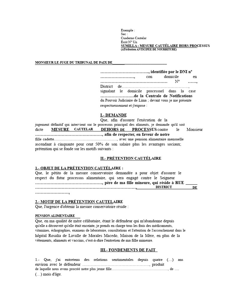 100.modèle de Mesure Conservatoire Hors Procès (Attribution Anticipée ...