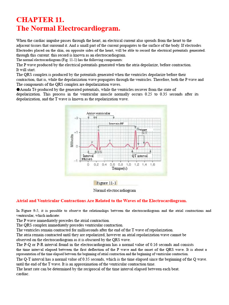 Understanding the Normal ECG | PDF | Electrocardiography | Heart