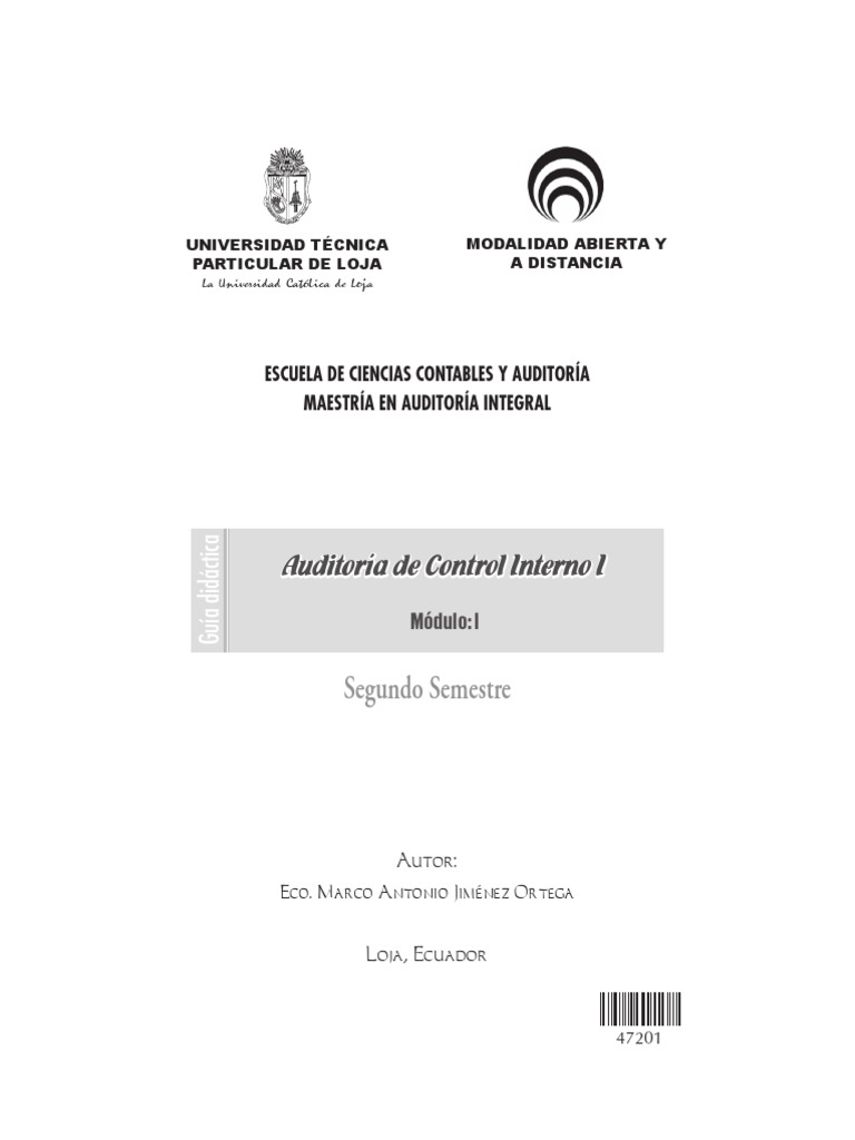 Guia Auditoria de Control Interno 1 | PDF | Auditoría financiera ...