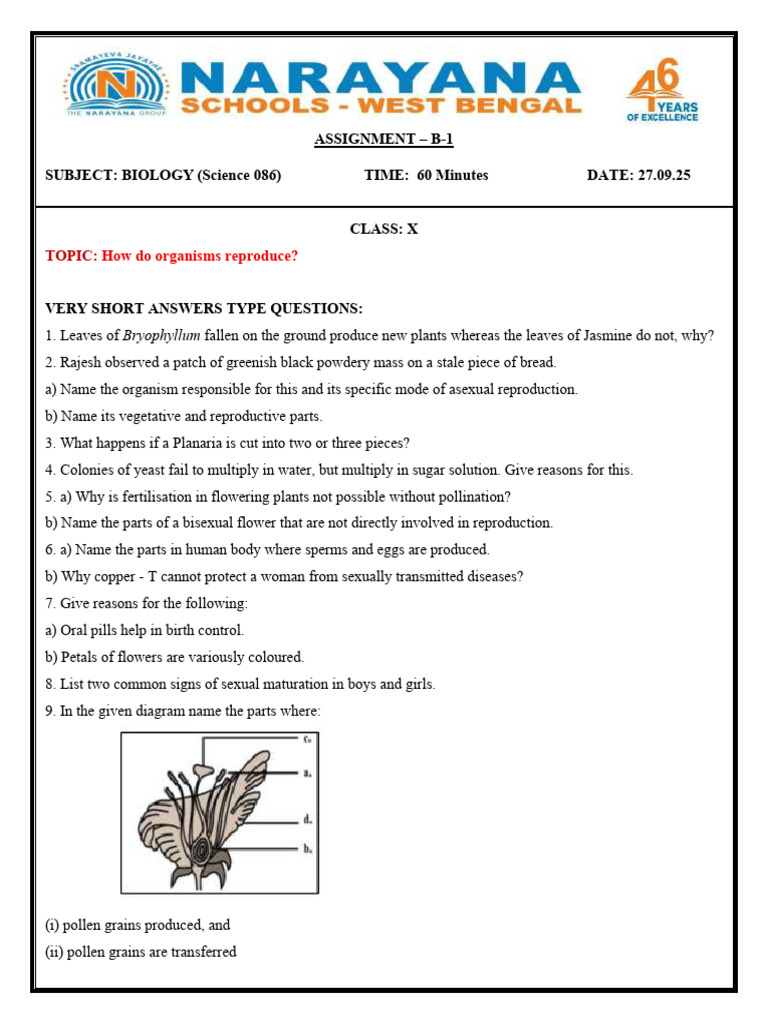 Biology Assignment: Organism Reproduction | PDF | Reproduction | Flowers