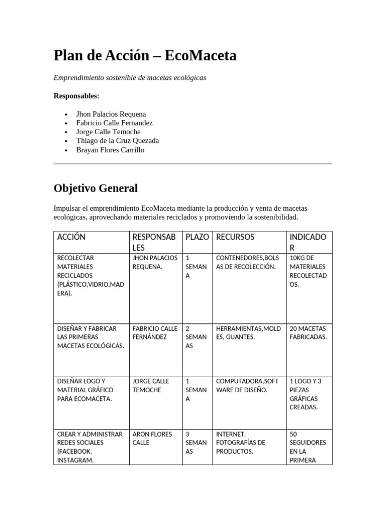 Plan de Accion | PDF