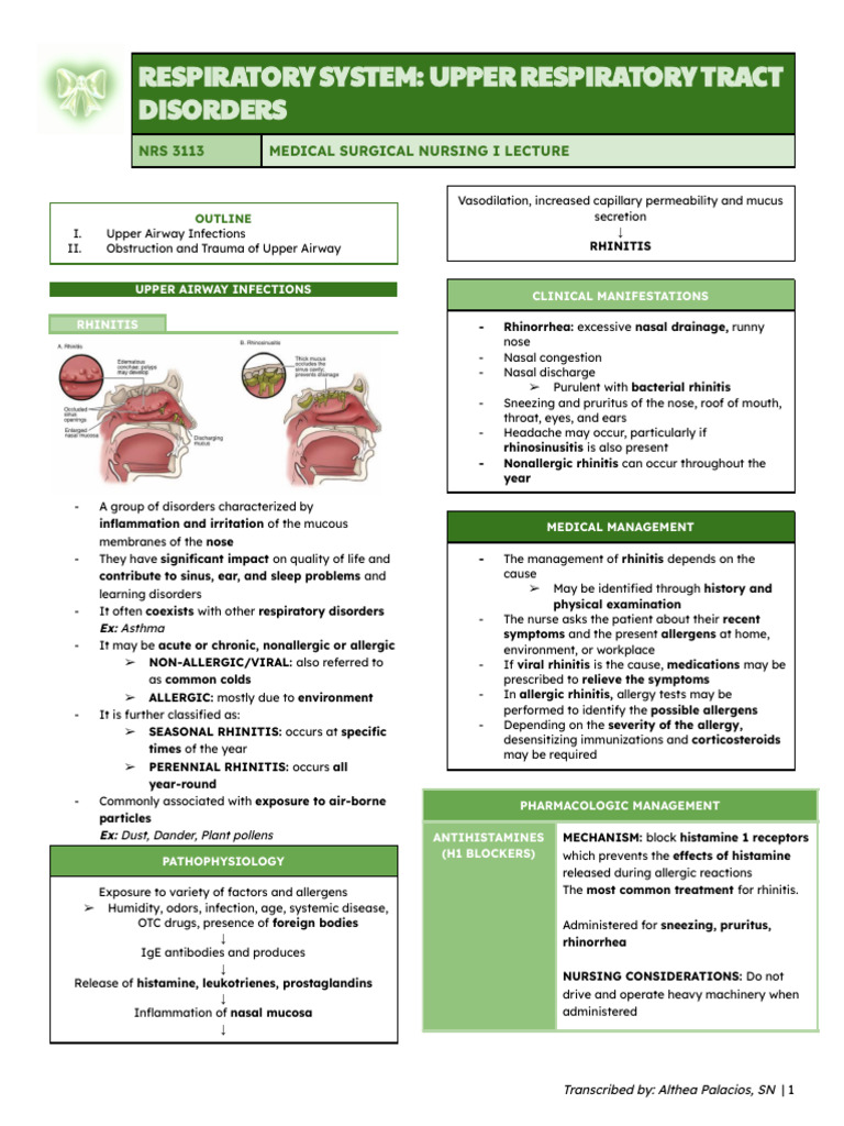 Upper Respiratory Tract Disorders Guide | PDF | Common Cold | Immunology